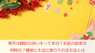 南天は縁起の良い木って本当？名前の由来は何時代？簡単に生活に取り入れる方法とは